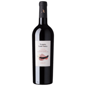 Merlot Venezia DOC-1