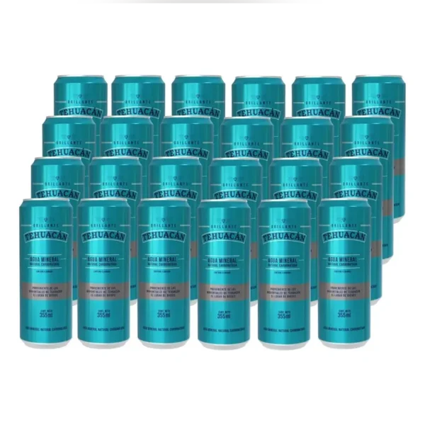 Tehuacan-Agua-Mineral-355ml-de-24-SLEEK-2